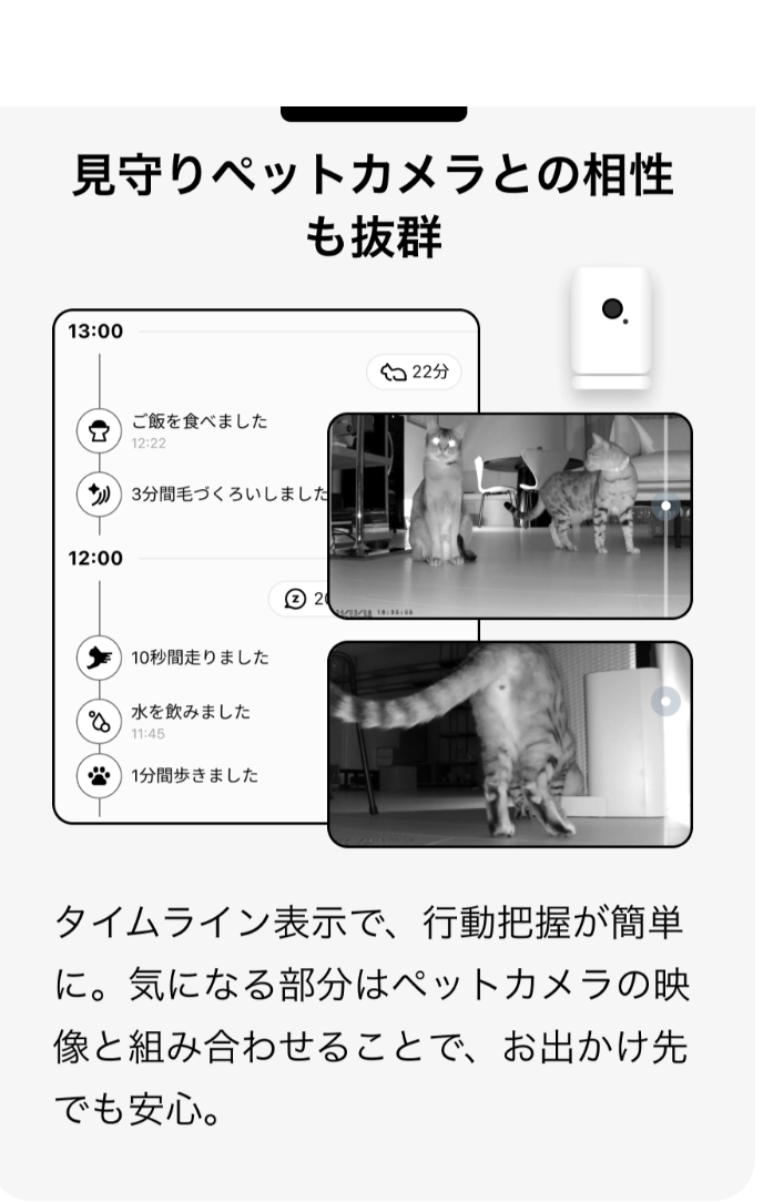 スマート首輪Catlogで、見えない不調も元気も24時間の行動記録から見える-Catlog-03-03-2026_10_59_PM