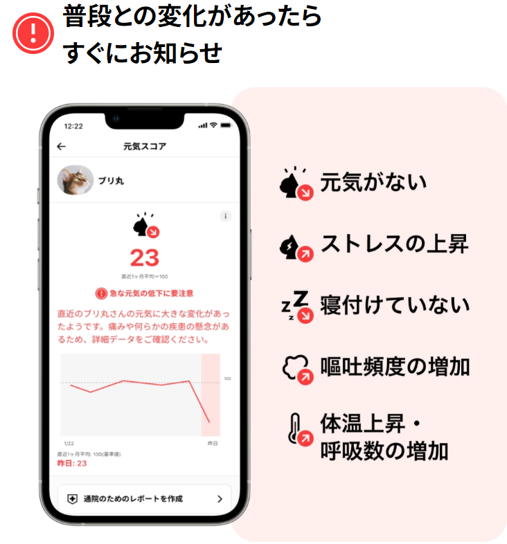 スマート首輪Catlogで、見えない不調も元気も24時間の行動記録から見える-Catlog-03-03-2026_11_00_PM