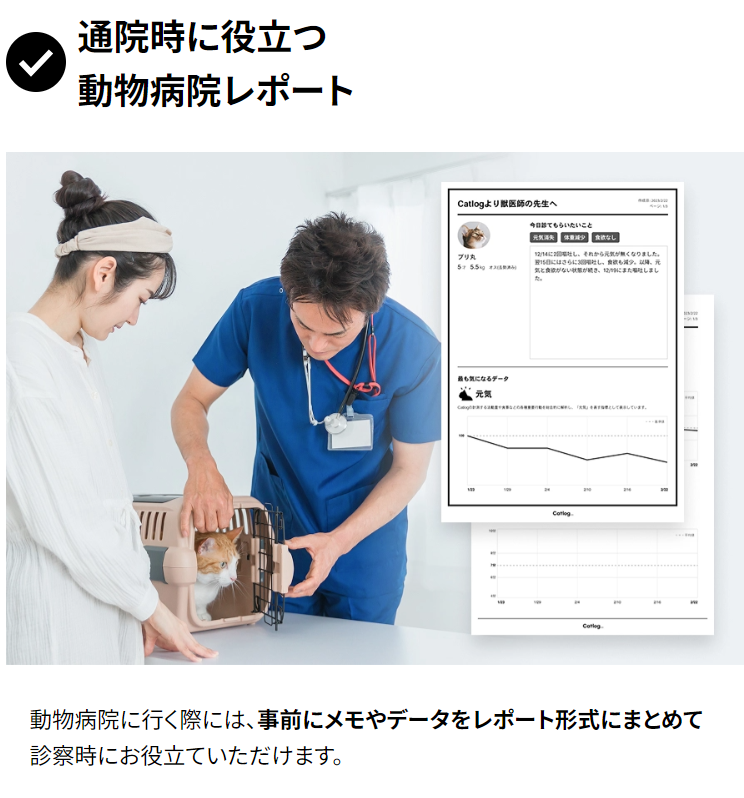 スマート首輪Catlogで、見えない不調も元気も24時間の行動記録から見える-Catlog-03-03-2026_11_01_PM