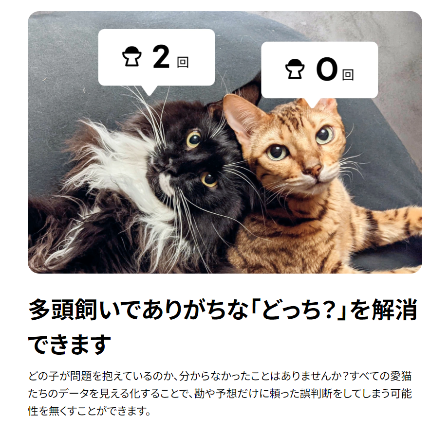 Catlogシリーズ-Catlog-04-12-2026_11_05_PM