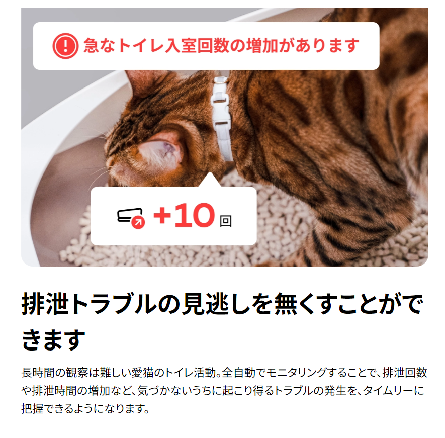 Catlogシリーズ-Catlog-04-12-2026_11_06_PM