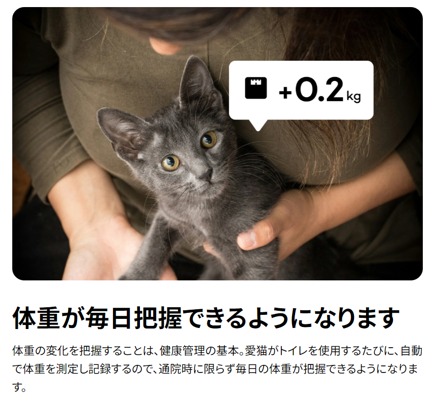 Catlogシリーズ-Catlog-04-12-2026_11_07_PM