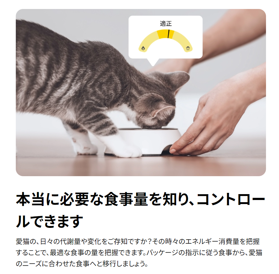 Catlogシリーズ-Catlog-04-12-2026_11_08_PM